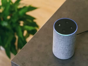 Amazon Alexa-thefreemedia
